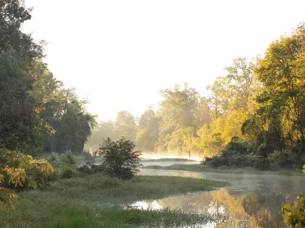 0 Paulette Rd, Macon, MS 39341