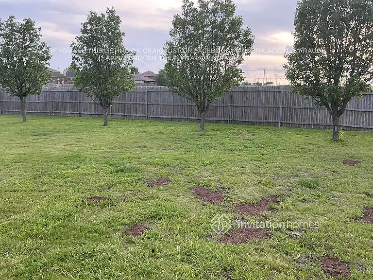 1313 Cyprus Dr — Photo 21