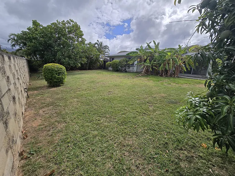 Large fully fenced backyard with avocado tree, apple banana trees, and mango tree.