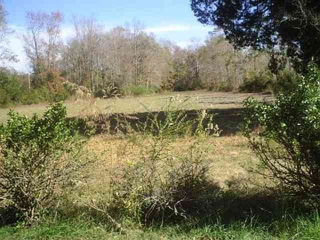 2nd image of 4304 Mill Berry Ln