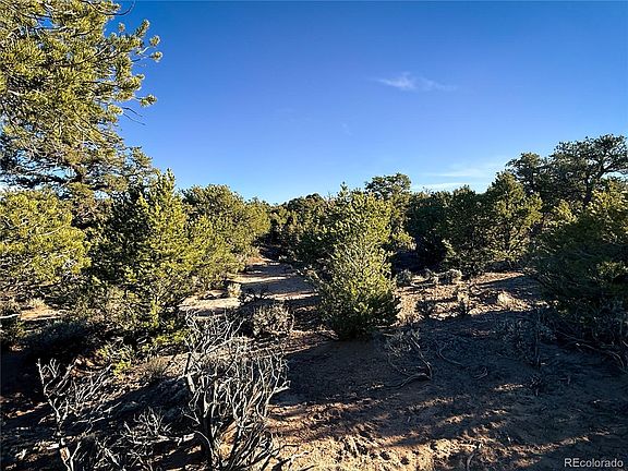 4th image of 00 Paine Road N