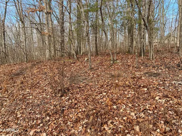 116 Overlook Cv, Fairfield Glade, TN 38558