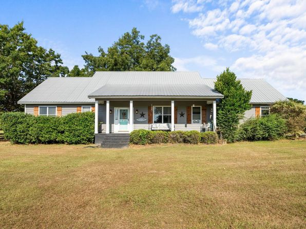 1617 Dublin Eastman Rd, Dexter, GA 31019