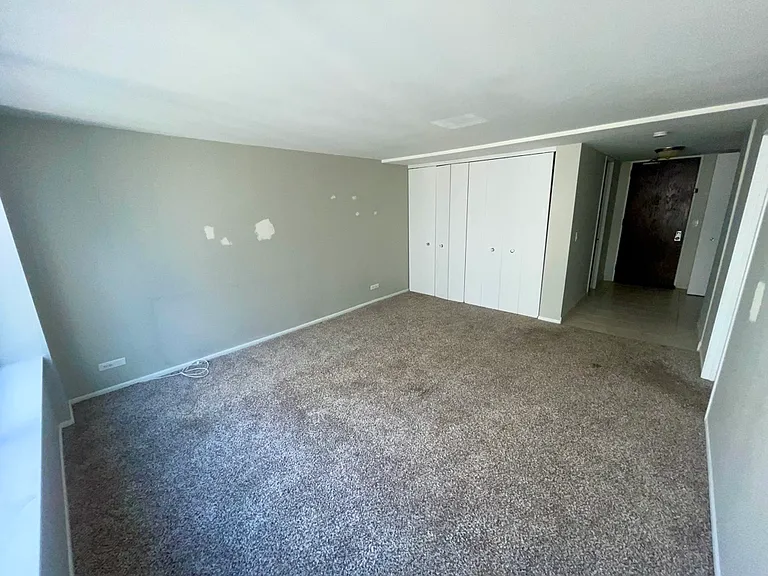 233 E Erie St #1902 — Photo 4