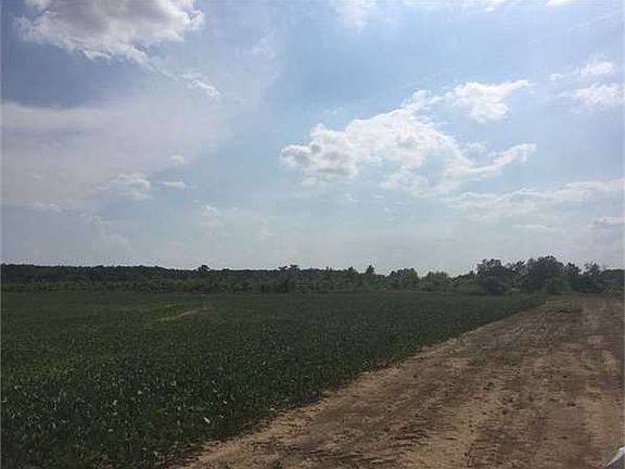 2nd image of 2370 Jackson #16