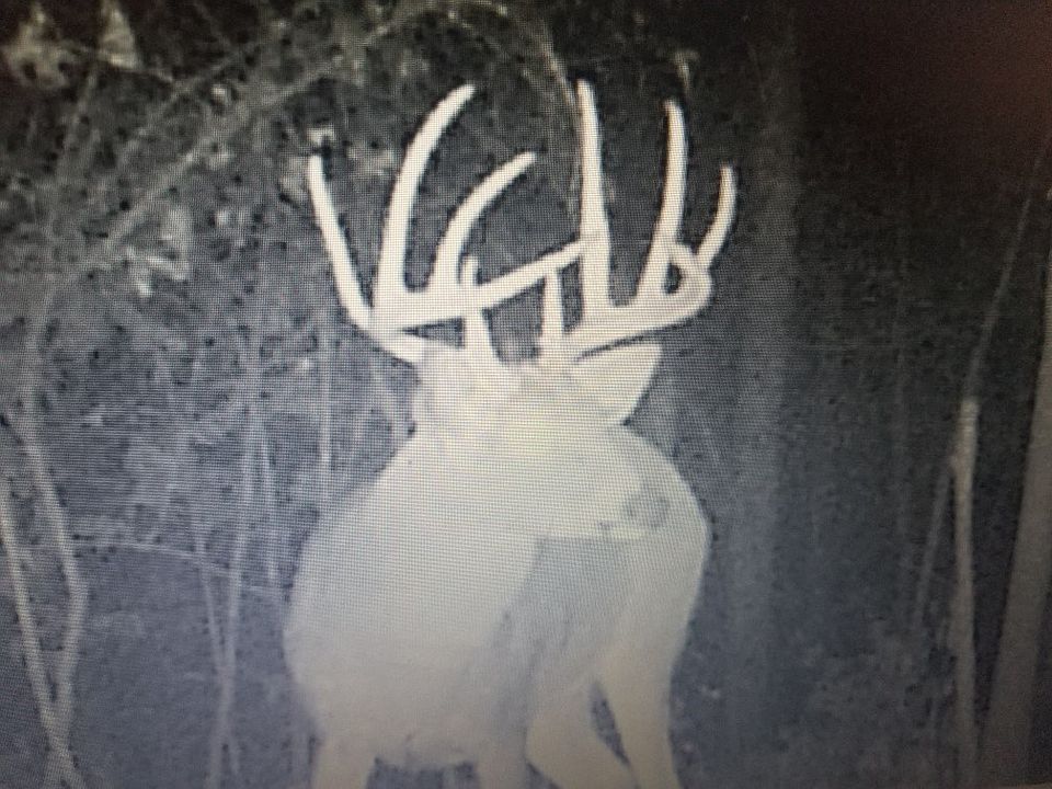 1st image of 29772 Redbud Ave