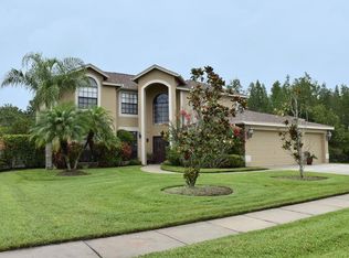 18210 Bittern Ave, Lutz, FL 33558