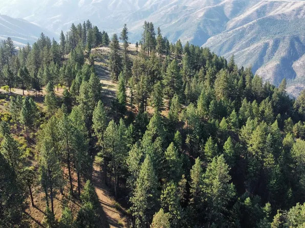 Pardee Rd, Kamiah, ID 83536