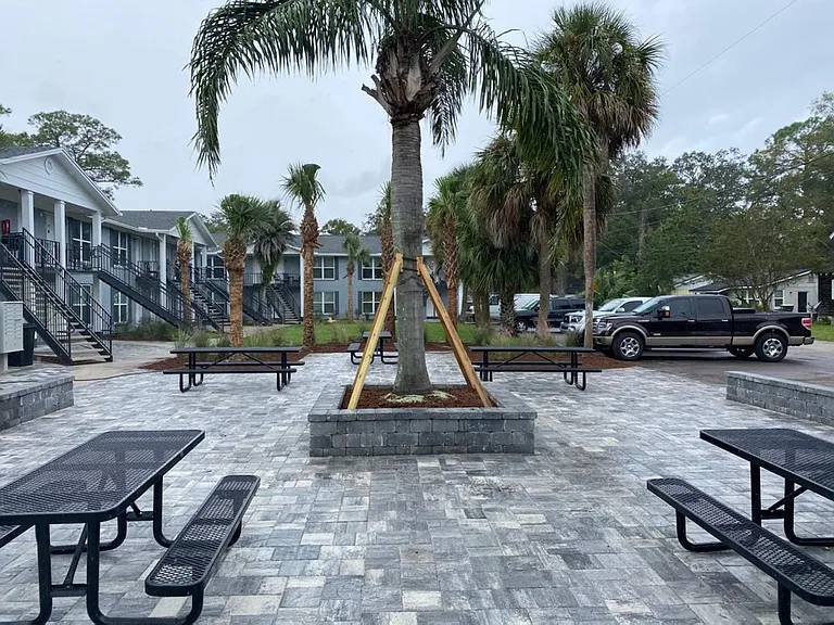 The Palms of Spring Park — Photo 2
