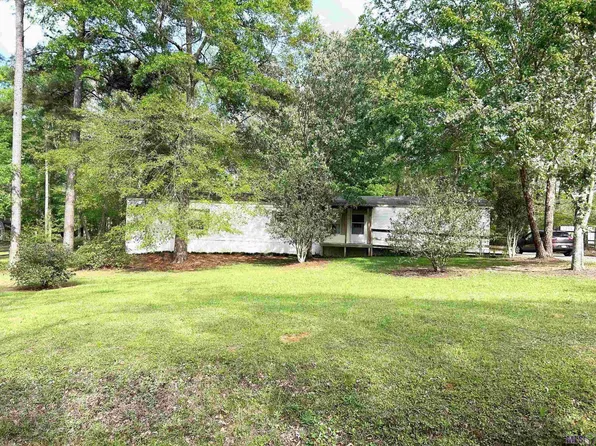 8139 Odeal Williams Ln, Ethel, LA 70730