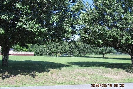 2nd image of 173 Buckner Ln