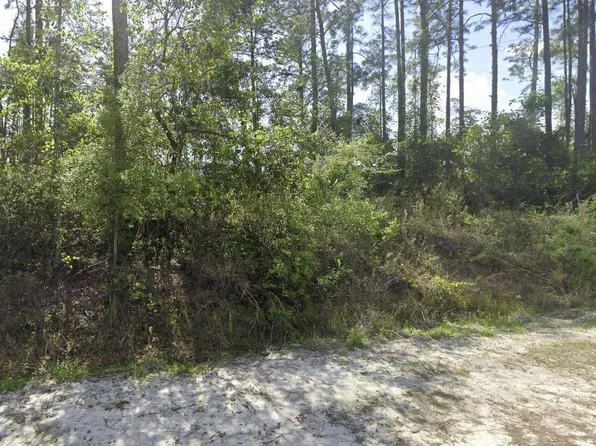 (undisclosed Address), Crescent City, FL 32112