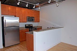 4th image of 1550 S Blue Island Ave Unit 1007