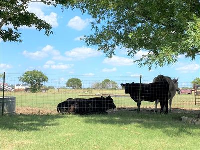 3050 County Road 245, Florence, TX, 76527