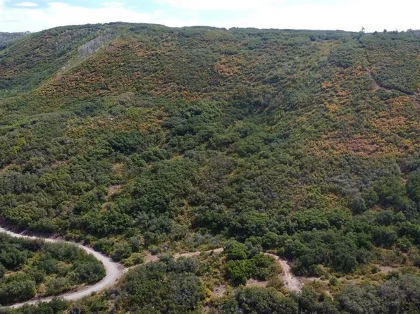 Lot 37 Stoney Creek Ranch Road, Hotchkiss, CO 81419