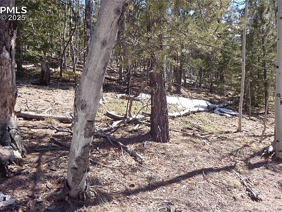 3rd image of 847 Little Topsey Dr
