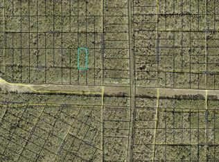 Xx Libby St, Hastings, FL 32145