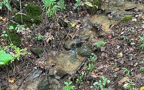 2nd image of 1 Collins Creek Rd