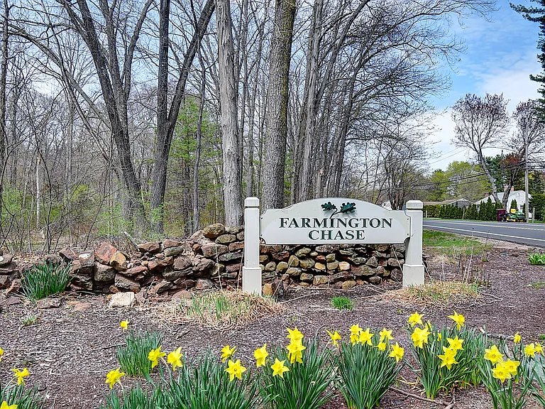 32 Farmington Chase Cres #32 — Photo 35