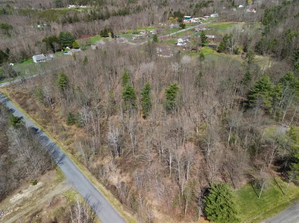 11 Maple Dr, Kirkwood, NY 13795