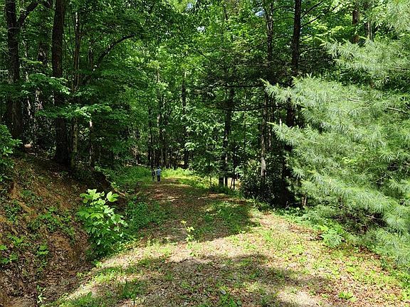 3rd image of 21 Collett Woods Trl #21