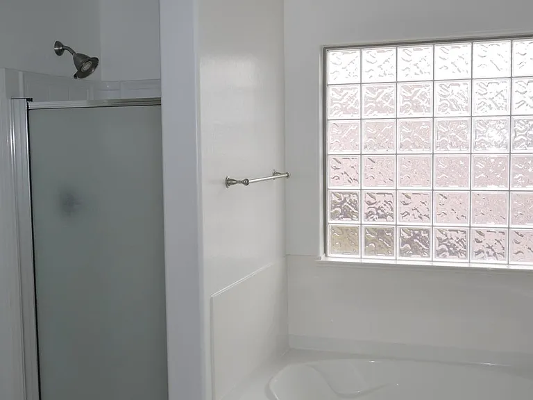 Master bath and tub