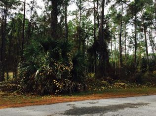 1 Sanctuary Ave, Debary, FL 32713