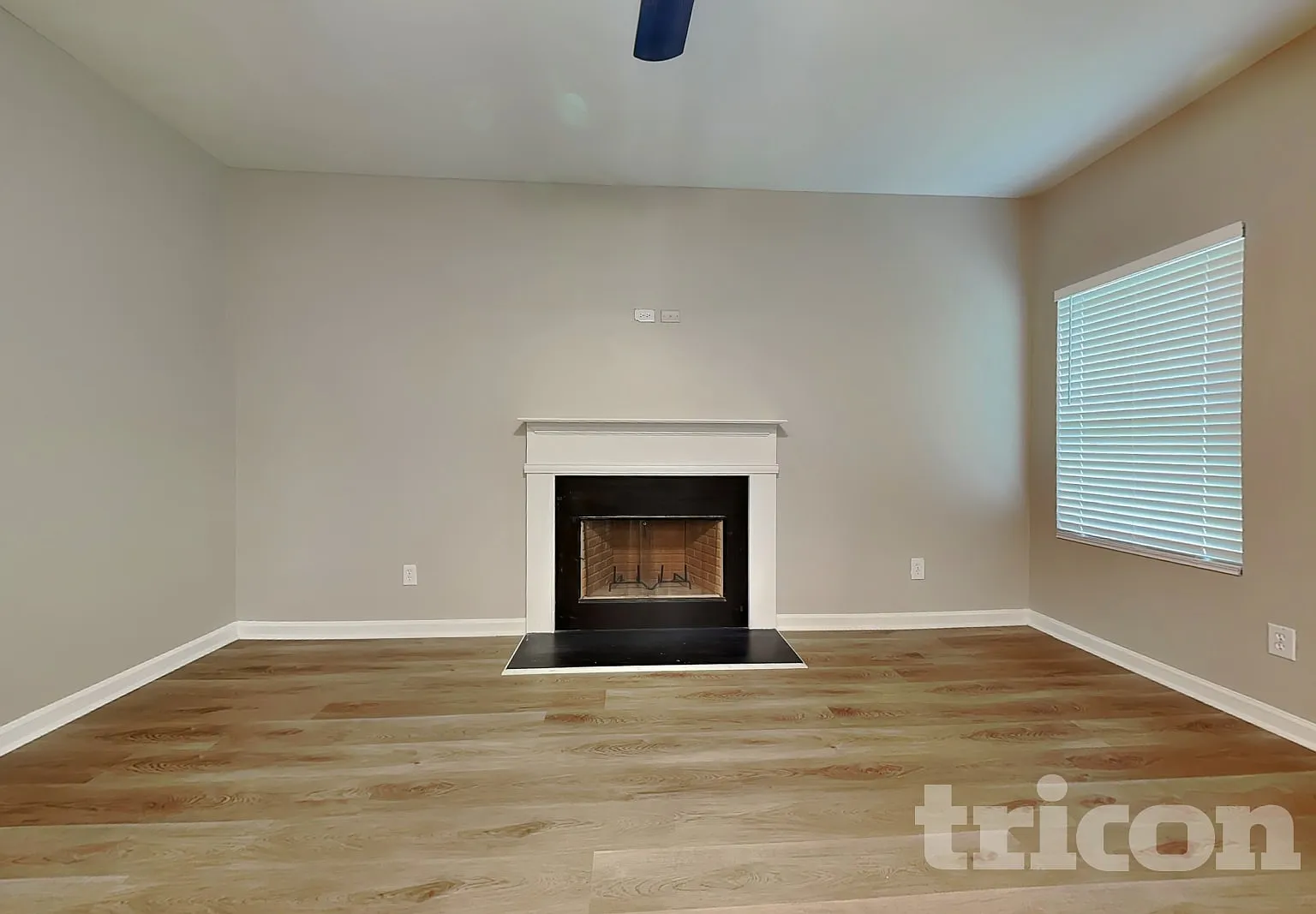 418 Daffodil Drive Temple GA — Photo 2