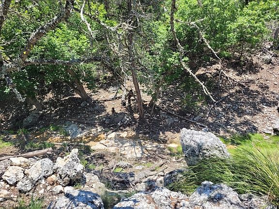 3rd image of 121 N Cattlemans Crossing Dr