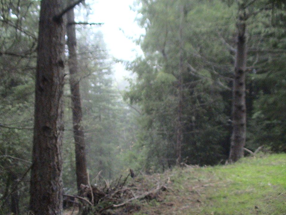 1st image of Apn 090 061 37