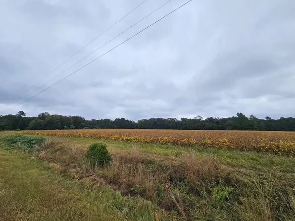 0 State Highway 47, Elloree, SC 29047