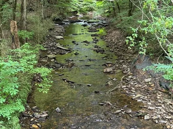 1634 Carman Way #1634, Ranger, GA 30734