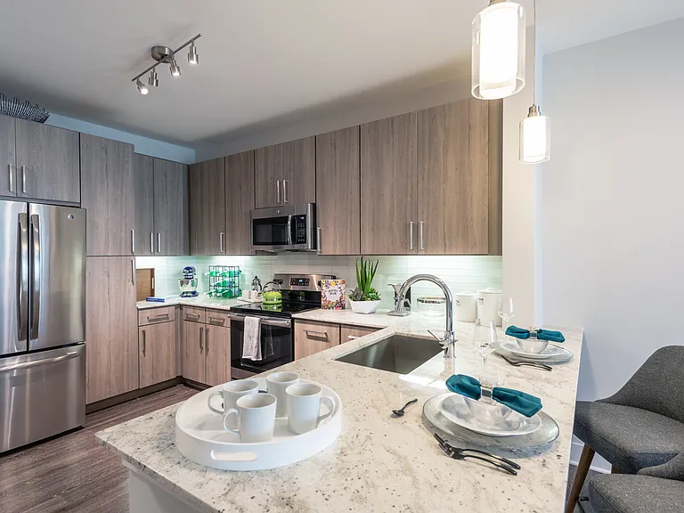Luxurious Kitchen