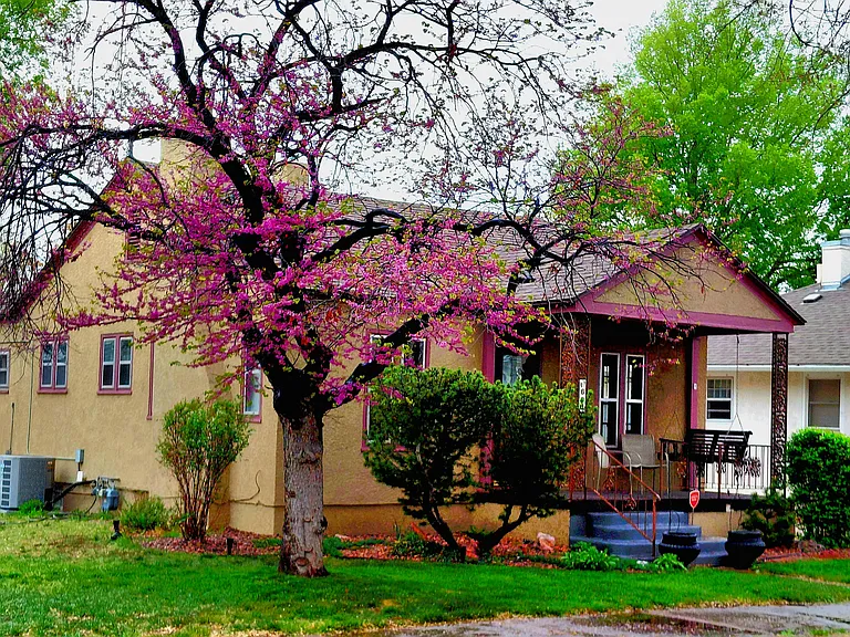 600 W Orman Ave — Photo 1