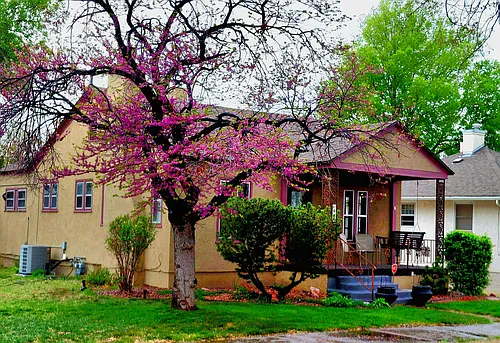 600 W Orman Ave Photo 1 600 W Orman Ave Photo 1