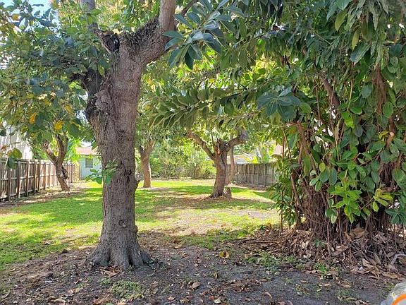 3045 Elizabeth St Trees