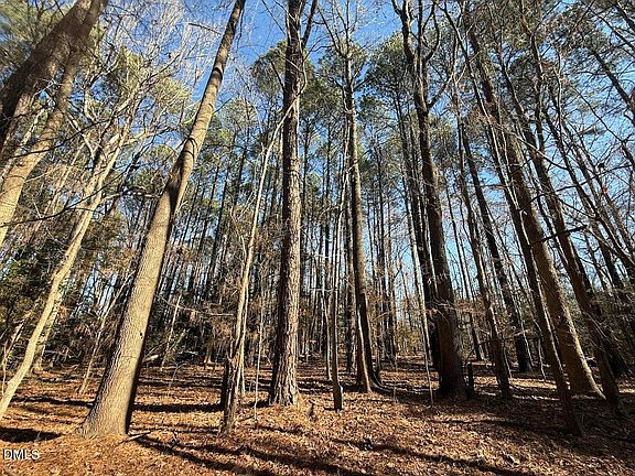 4th image of 1012 S Halifax Rd