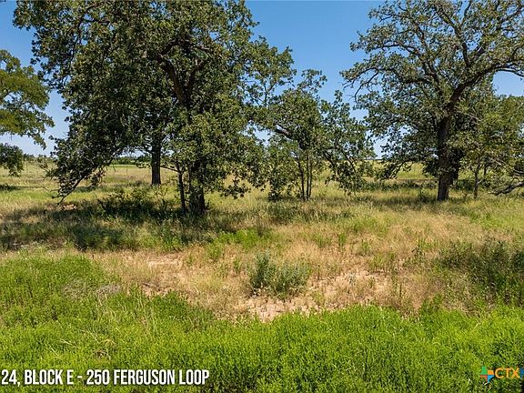 2nd image of 250 Furguson Loop