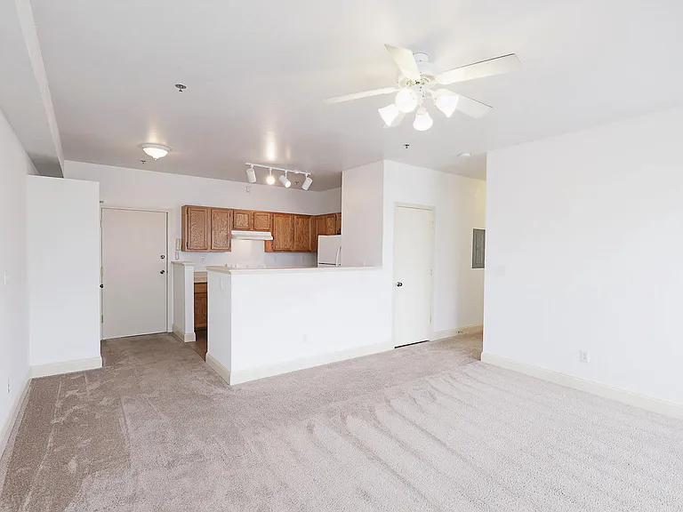 331 Fulton St — Photo 36
