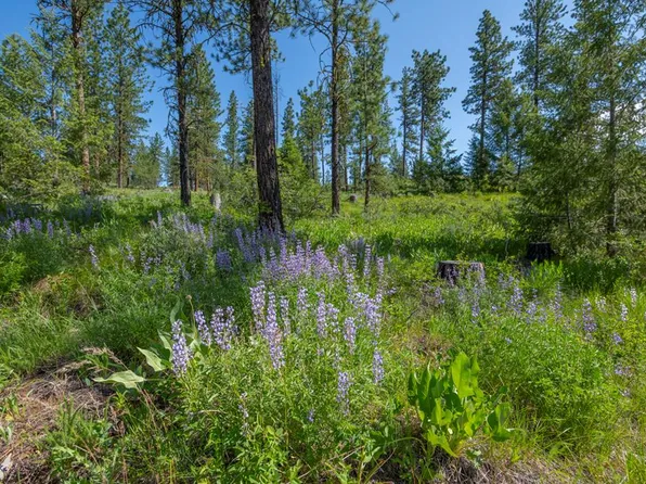 1 Highway 95, New Meadows, ID 83654
