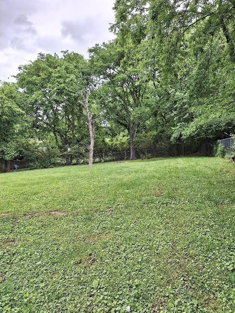 3 bed, 2.0 bath, 1471 sqft, $1,895 — Photo 2