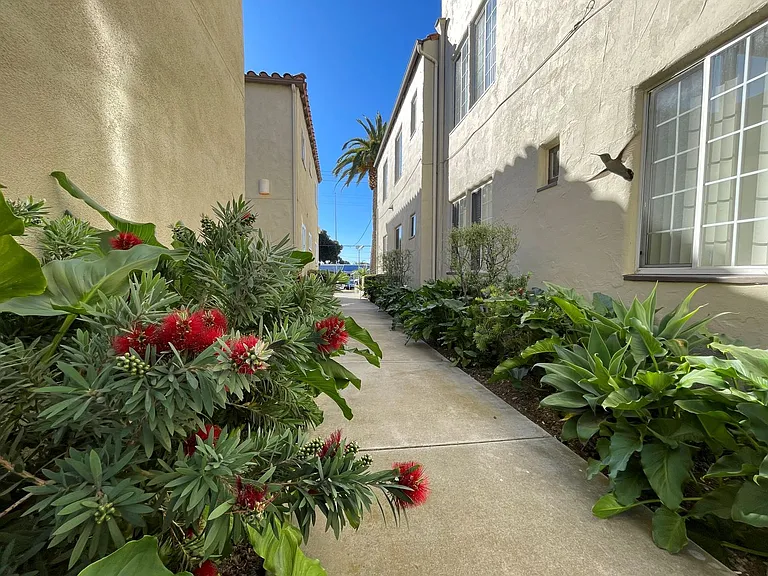 thompson — Photo 18