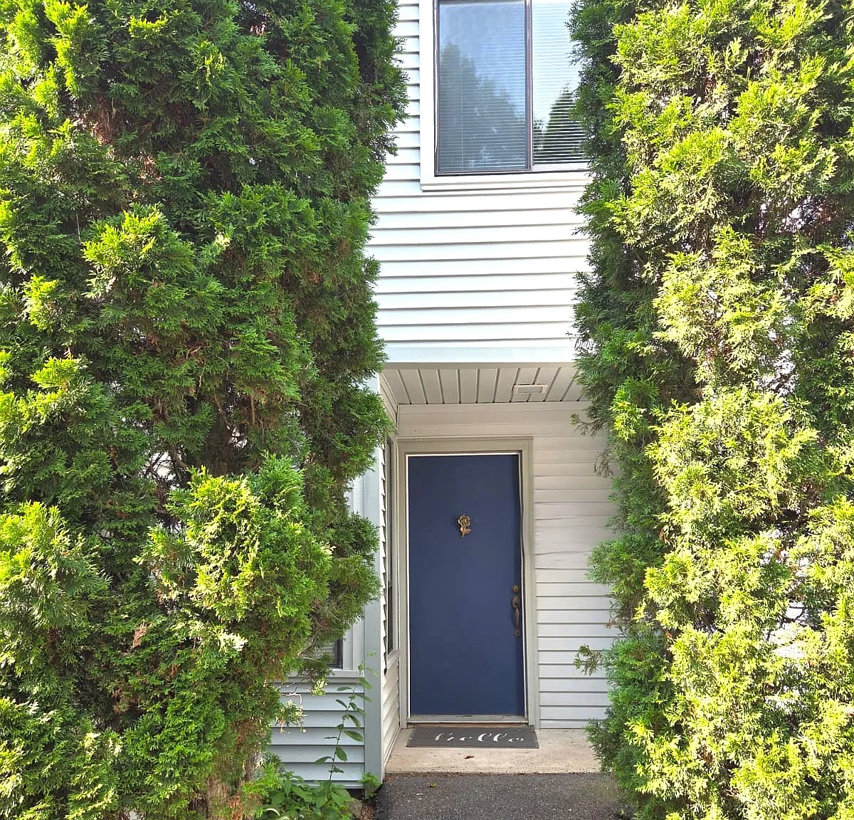 2 bed, 1.5 bath, 1115 sqft, $2,400 — Photo 2