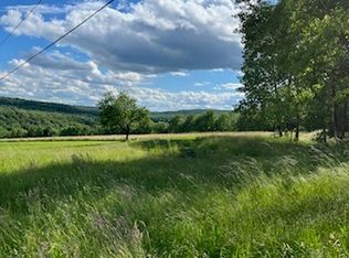 1731 Ed Klug Rd, Franklin, NY 13775