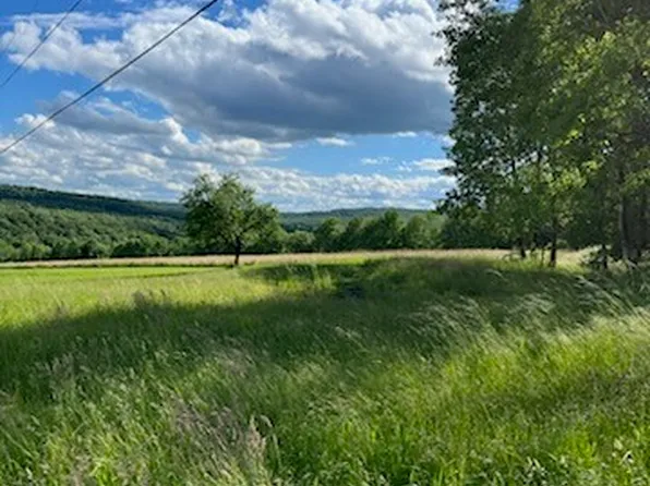 1731 Ed Klug Rd, Franklin, NY 13775