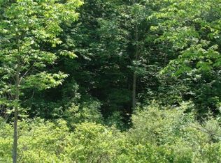 W Riverside Dr #1, Ionia, MI 48846