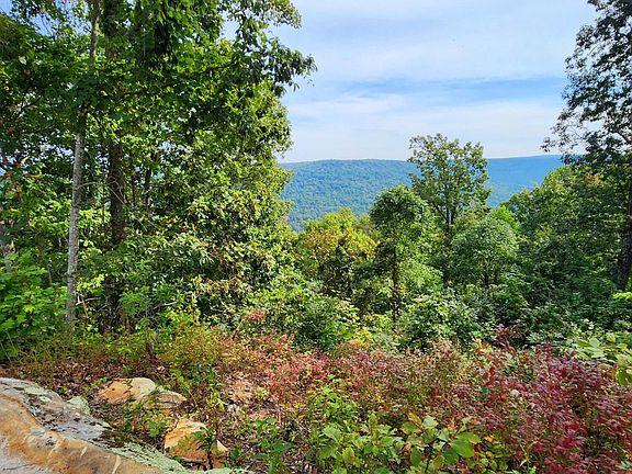 36th image of this home