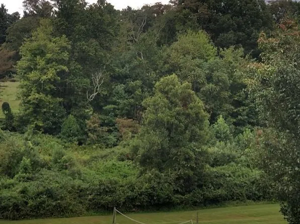 Cranberry Rd, Woodlawn, VA 24381