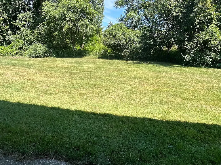 6491 Martinie Dr #1 — Photo 9
