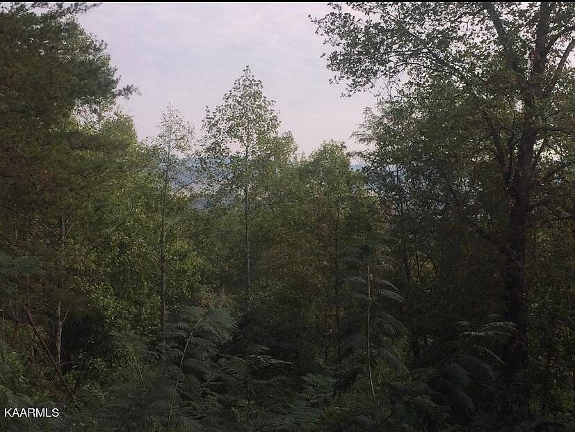 1st image of Townview Dr